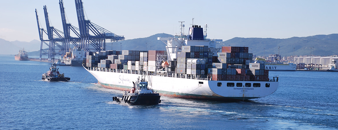 Export – Container Versand nach Gambia
